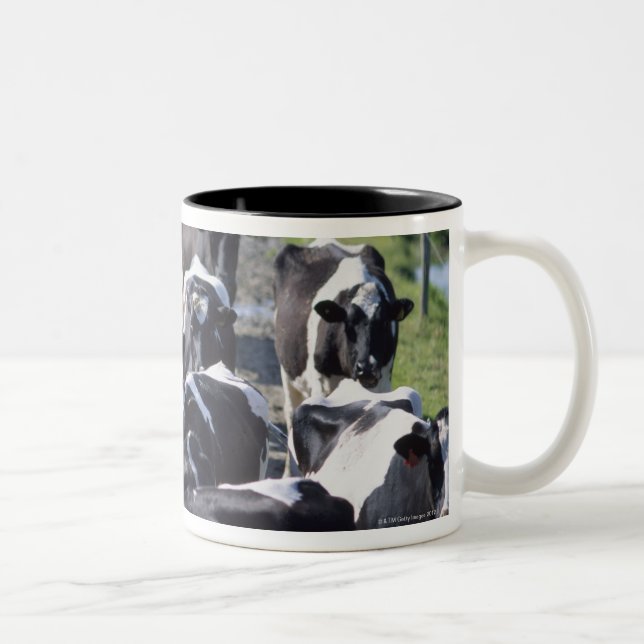 Tasse 2 Couleurs Vaches laitières de Fresian, attendant la traite, (Droit)