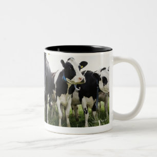 Tasse 2 Couleurs Vaches se tenant dans une rangée regardant
