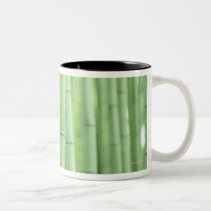 Tasse 2 Couleurs Verger en bambou