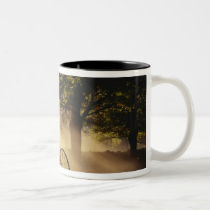 Tasse 2 Couleurs Vermont, Royaume du Nord-Est, soleil tombant