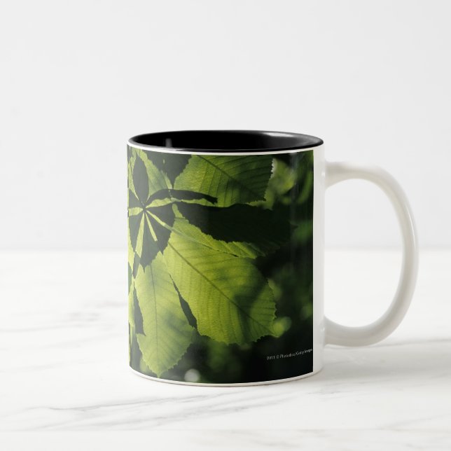 Tasse 2 Couleurs Vert sept feuilles de point avec l'illumination de (Droit)