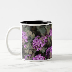 Tasse 2 Couleurs Verveine violette Réserve faunique de Coachella Va
