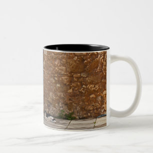 Tasse 2 Couleurs Vieille porte et chat de repos