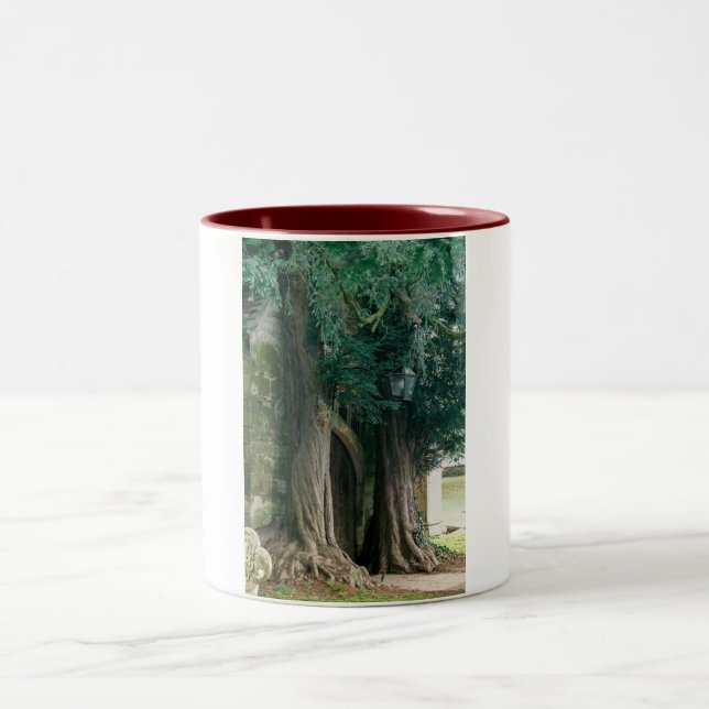 Tasse 2 Couleurs Vieux ifs (Centre)