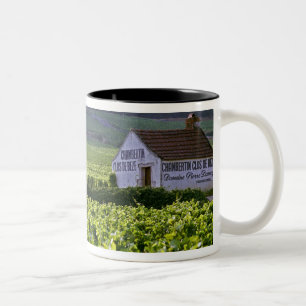 Tasse 2 Couleurs vignoble Chambertin Clos de Bèze Grand Cru avec