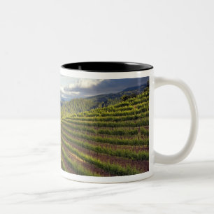 Tasse 2 Couleurs Vignoble. Vallée de Napa. Napa. Comté de Napa,