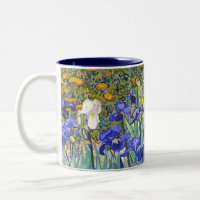 Vincent Van Gogh Irises Floral Vintage Fine Art