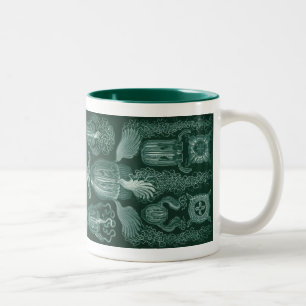 Tasse 2 Couleurs Vintage Haeckel