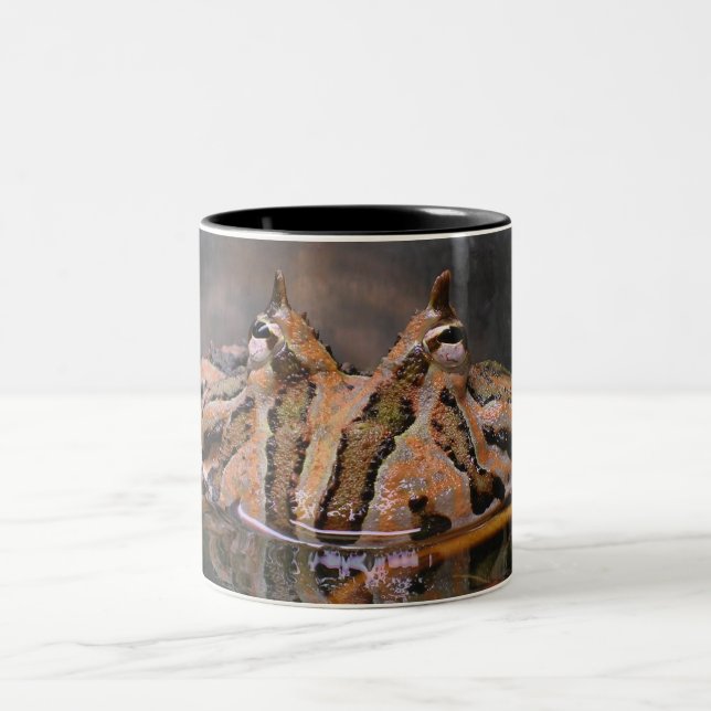 Tasse 2 Couleurs Visage de grenouille (Centre)