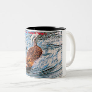 Tasse 2 Couleurs Vœux de Noël Mon petit castor