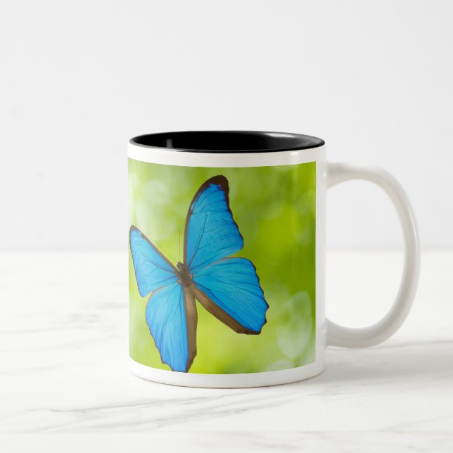 Tasse 2 Couleurs Voler de papillons (Droit)