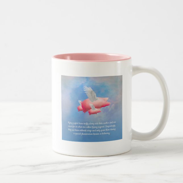 Tasse 2 Couleurs Voler Des Porcelets Qui Volent Avec Leur Mère (Droit)