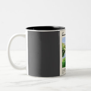 Tasse 2 Couleurs Voyage Vintage d'aquarelle du Connemara