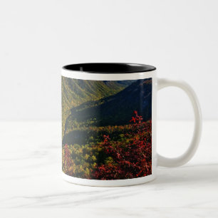 Tasse 2 Couleurs Vue automnale de la gorge de Linville souvent appe