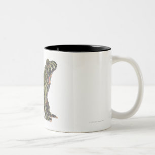 Tasse 2 Couleurs Vue de côté d'un crapaud gonflé par feu orienta