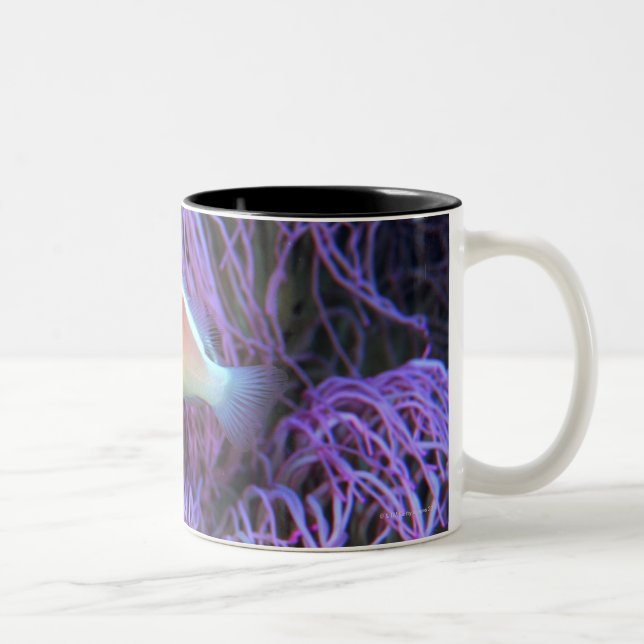 Tasse 2 Couleurs Vue de côté d'un poisson d'anémone rose, (Droit)