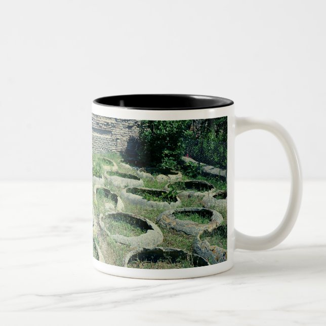 Tasse 2 Couleurs Vue des magasins (Droit)