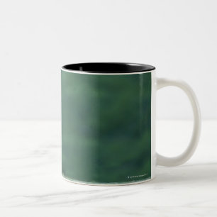 Tasse 2 Couleurs Vue d'un lion (Panthera Lion) s'étendant sur