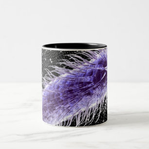 Tasse 2 Couleurs Vue microscopique d'une cellule de pylores de