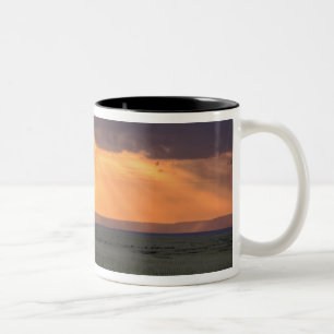 Tasse 2 Couleurs Vue panoramique du Vautour et de l'acacia