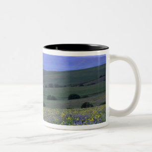 Tasse 2 Couleurs WA, comté de Klickitat, Ranch de Dalles Mountain,