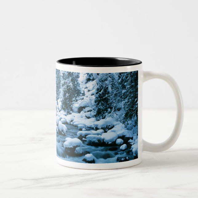 Tasse 2 Couleurs WA, forêt nationale de Wenatchee, Cascade (Droit)