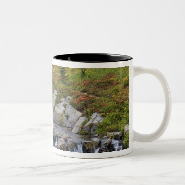 Tasse 2 Couleurs WA, Parc national du Mont-Rainier, ruisseau Edith (Droit)
