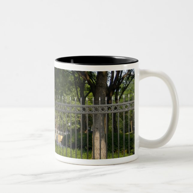 Tasse 2 Couleurs Washington, C.C, statue de George Washington, (Droit)