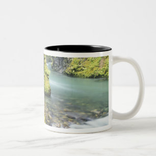 Tasse 2 Couleurs Washington, Olympic National Park, saison