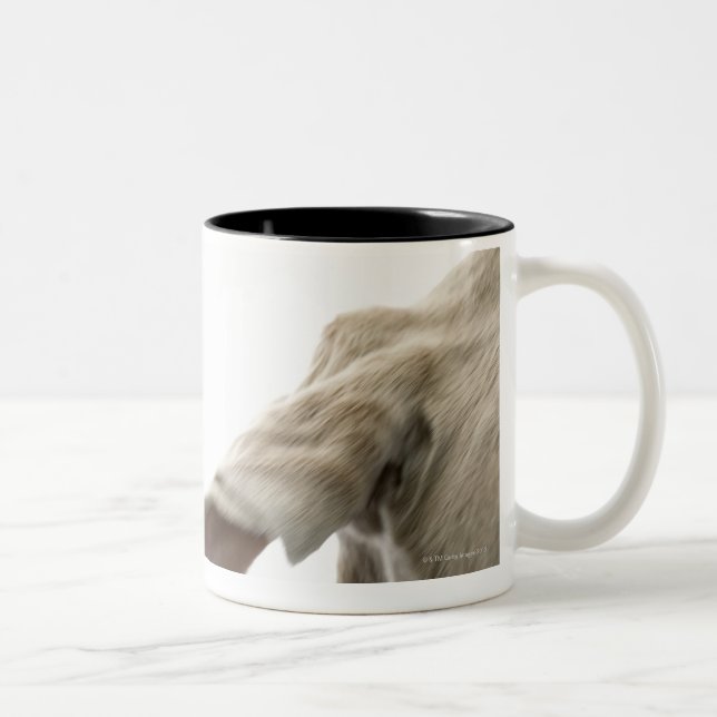 Tasse 2 Couleurs Weimaraner 2 (Droit)