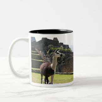 Tasse 2 Couleurs Wild Llama Near Ruins