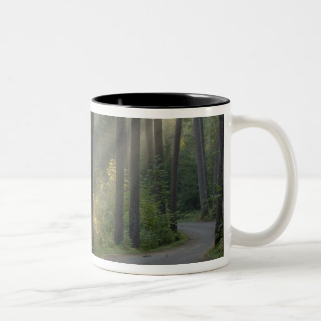 Tasse 2 Couleurs Wilderness Drive, parc d'état d'Itasca, (Droit)