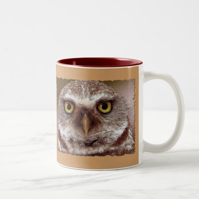 TASSE 2 COULEURS WISDOM OWL (Droit)