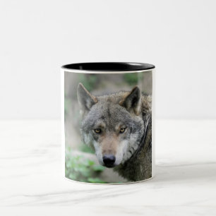Tasse 2 Couleurs Wolf_011