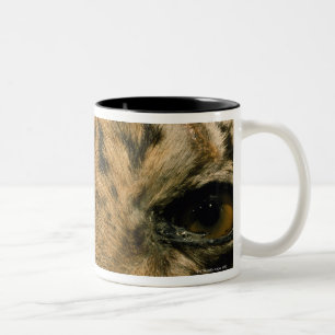 Tasse 2 Couleurs Yeux de tigre