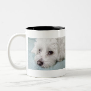 Tasse 2 Couleurs Yeux de Tulear Puppy de coton