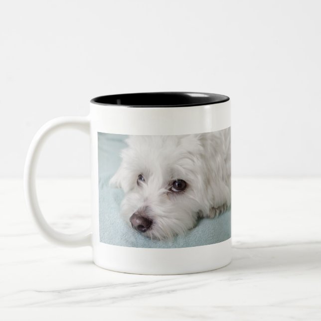 Tasse 2 Couleurs Yeux de Tulear Puppy de coton (Gauche)
