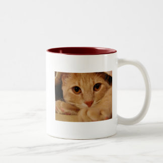 Tasse 2 Couleurs Yeux oranges