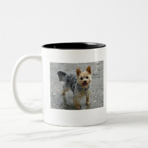 Tasse 2 Couleurs Yorkie