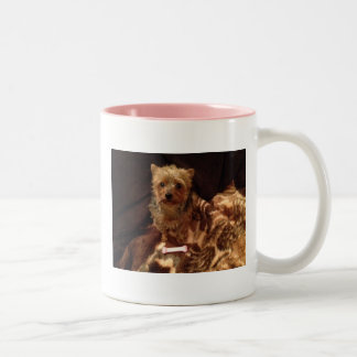 Tasse 2 Couleurs Yorkie