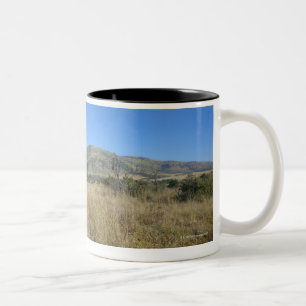 Tasse 2 Couleurs Zèbre en plaine ouverte, parc national de