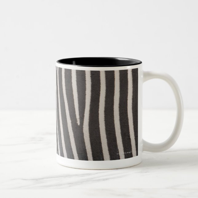 Tasse 2 Couleurs Zèbres (Droit)