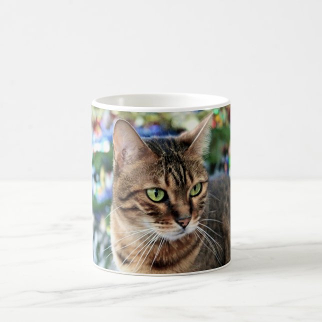 Tasse 325ml blanche classique blanche de beau chat (Centre)