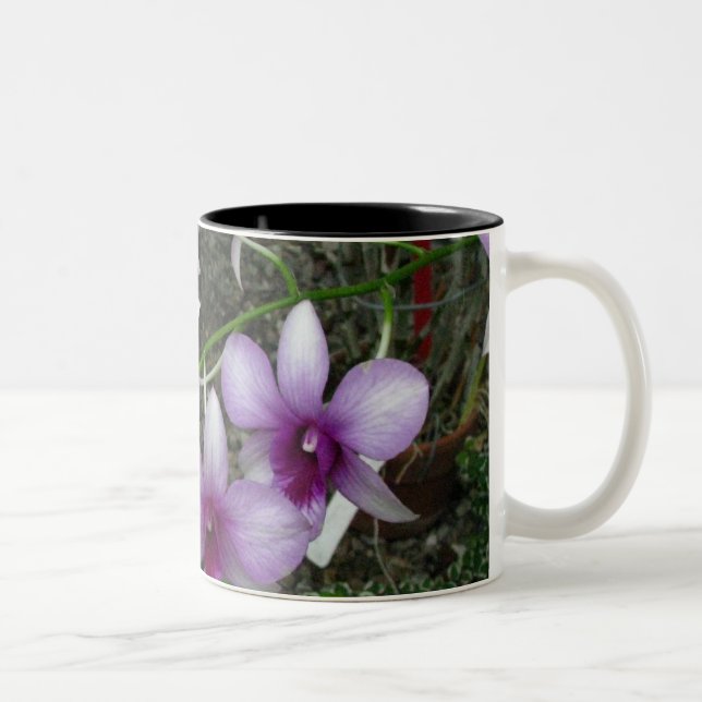 Tasse 5 d'orchidée (Droit)