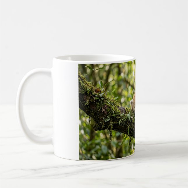 Tasse à café Bébé panda roux se reposant dans un a (Gauche)