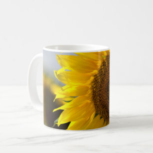 Tasse à café - Gros plan sur un beau tournesol jau
