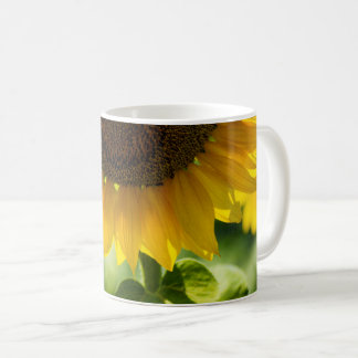 Tasse à café - Photographie de tournesol en fleurs