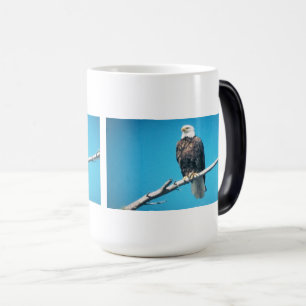 Tasse à morphing de couleur d'aigle royal