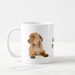 Tasse allemande #2 de fan de Pinscher