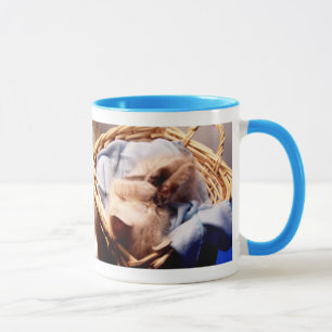 tasse allergique d'humour d'amusement de chat